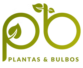 Plantas & Bulbos